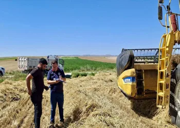 Afyonkarahisar’da hububat hasadı başladı