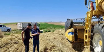 Afyonkarahisar’da hububat hasadı başladı