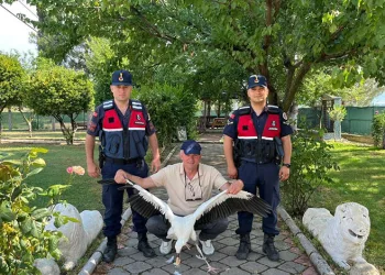 Yaralı leylek için seferber oldular