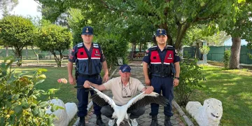 Yaralı leylek için seferber oldular