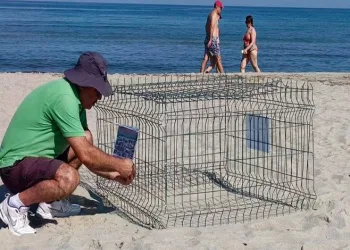 Duyarlı gençlerin ihbarı sayesinde, caretta yuvası koruma altına alındı
