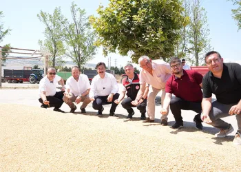 Yenişehir’de buğday alımları başladı