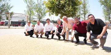 Yenişehir’de buğday alımları başladı