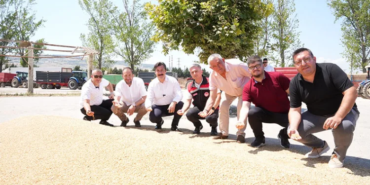 Yenişehir’de buğday alımları başladı