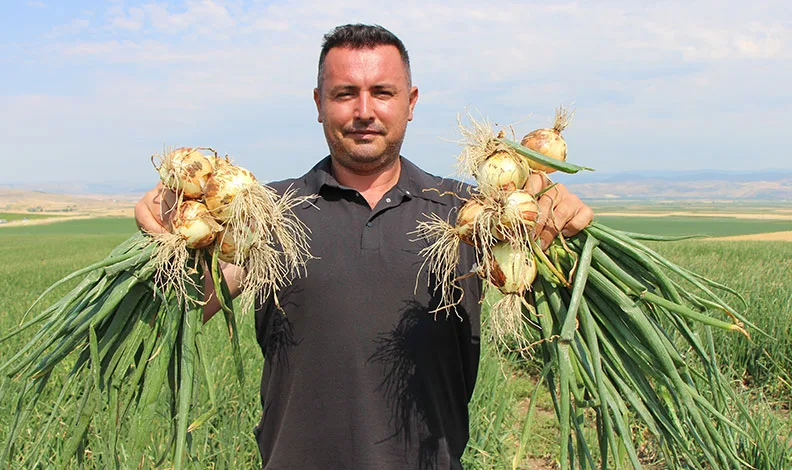 Amasya’da soğan bir bardak çaydan bile ucuz