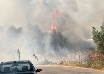 İznik’te çöp depolama tesisinde çıkan yangın ormana sıçradı