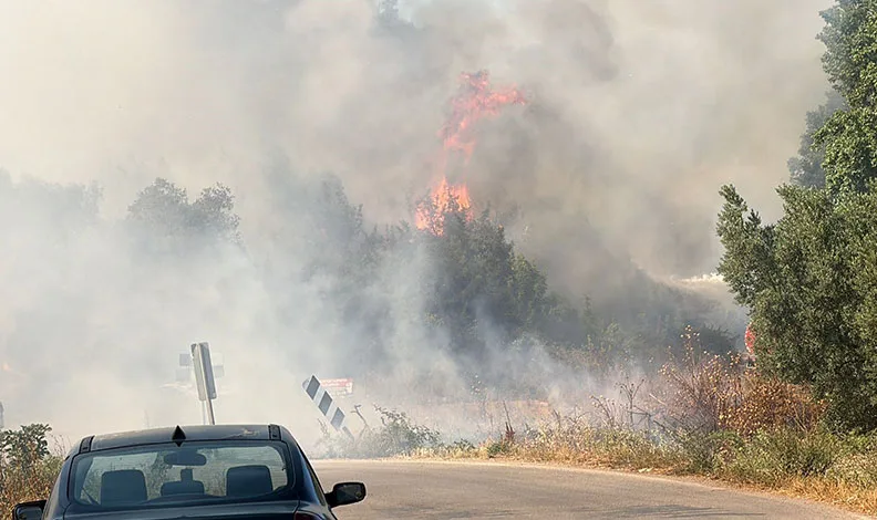 İznik’te çöp depolama tesisinde çıkan yangın ormana sıçradı