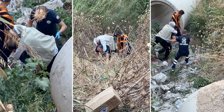 20 metrelik uçurumdan düştü, yaralıyı sırtında taşıyan itfaiyeci yürekleri ısıttı