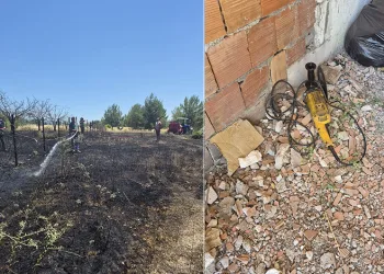 İzmir’deki orman yangınlarında iki gözaltı
