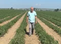 Sözleşme yaptığı firma ürünü almayınca 20 milyon lira zarar etti