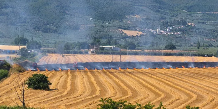 Gemlik Serbest Bölge yakınında yangın