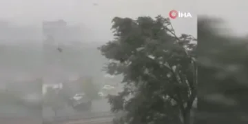 Romanya’da şiddetli fırtına: 1 ölü