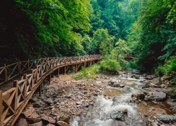 İnegöl Belediyesi’nden Doğa Turizmi İçin Tarihi Adım