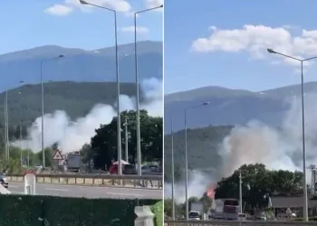 Kestel’de orman yangını: Havadan ve karadan müdahale ediliyor