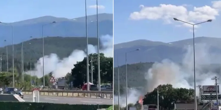 Kestel’de orman yangını: Havadan ve karadan müdahale ediliyor