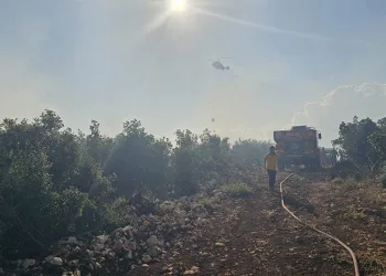 Gaziantep’te çıkan orman yangını söndürüldü