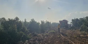 Gaziantep’te çıkan orman yangını söndürüldü