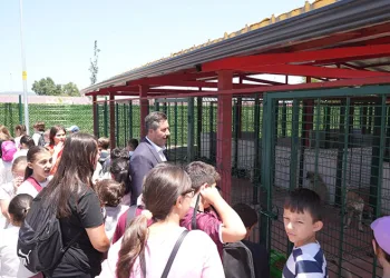 Yenişehir Hayvan Bakımevi ve Doğal Yaşam Alanı açıldı