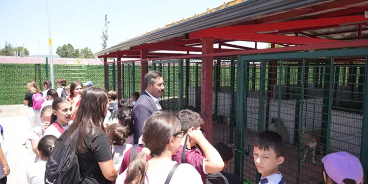 Yenişehir Hayvan Bakımevi ve Doğal Yaşam Alanı açıldı