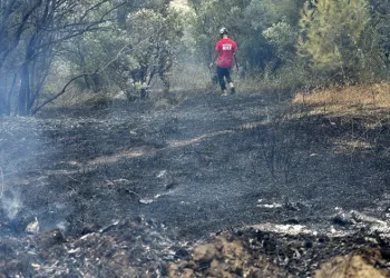 Mudanya’da rüzgarın etkisiyle büyüyen yangın kontrol altına alındı