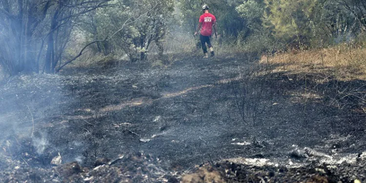 Mudanya’da rüzgarın etkisiyle büyüyen yangın kontrol altına alındı