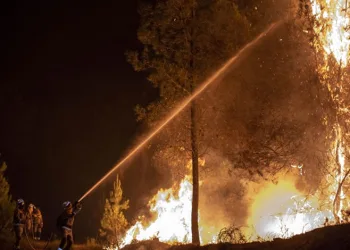 İspanya’da orman yangını felaketi: 12 can kaybı