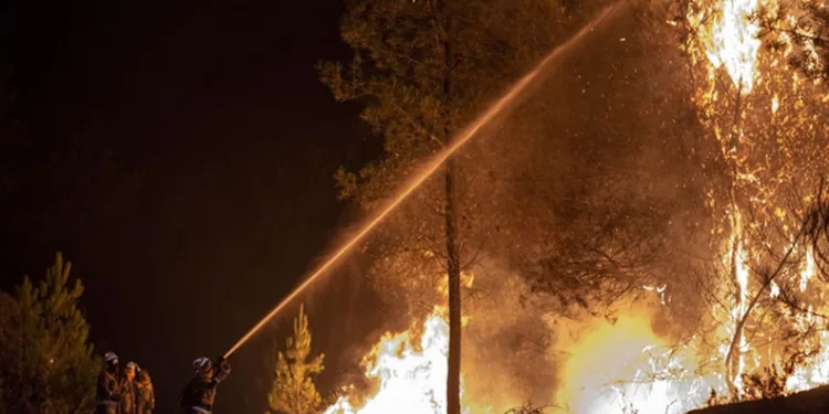 İspanya’da orman yangını felaketi: 12 can kaybı