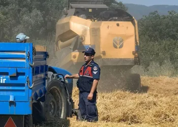 Bilecik’teki orman yangınında biçerdöver operatörüne adli tahkikat başlatıldı