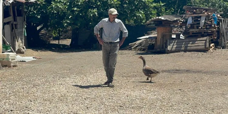Ölmek üzereyken kurtardı, 10 yıldır yanından ayrılmıyor