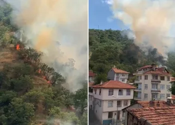 Kastamonu’da orman yangınında 40 dönümlük alan zarar gördü