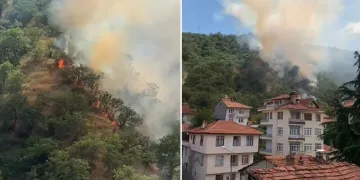 Kastamonu’da orman yangınında 40 dönümlük alan zarar gördü