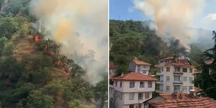 Kastamonu’da orman yangınında 40 dönümlük alan zarar gördü