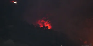 Denizli’de orman yangını