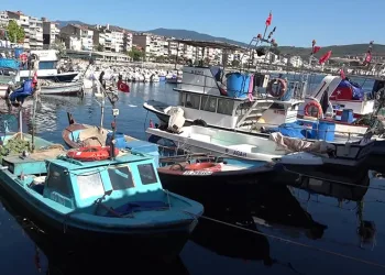 Marmara’nın emektar balıkçıları, müsilaj ve bilinçsiz avlanmadan şikayetçi