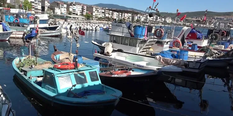 Marmara’nın emektar balıkçıları, müsilaj ve bilinçsiz avlanmadan şikayetçi