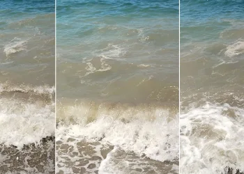 Bodrum’da deniz kirliliği: “Başsavcılık soruşturma başlattı”