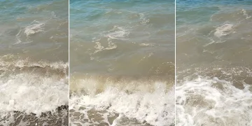 Bodrum’da deniz kirliliği: “Başsavcılık soruşturma başlattı”