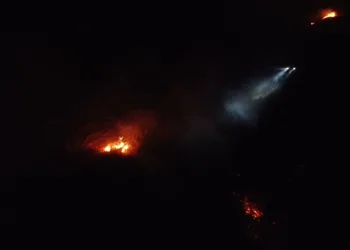 Balıkesir’de gece yarısı orman yangını çıktı