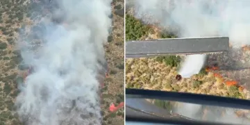 Demre’de orman yangını