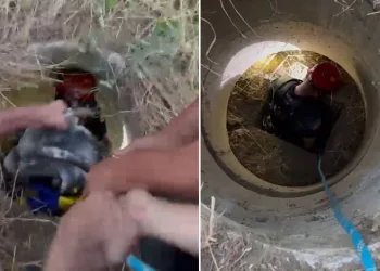 Rögara düşen keçiyi itfaiye kurtardı