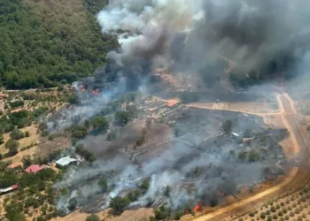 Afyonkarahisar, Antalya ve Muğla’da orman yangını