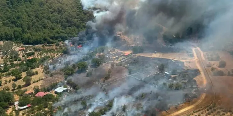 Afyonkarahisar, Antalya ve Muğla’da orman yangını