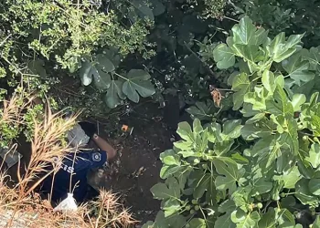 10 metreden düşen kadın, yardıma gelen polislerden kaçtı