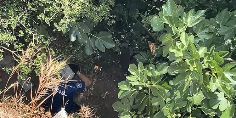 10 metreden düşen kadın, yardıma gelen polislerden kaçtı