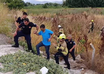 Bursa’da kamyonet tarlaya uçtu: Sürücü yaralandı