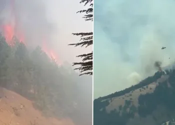 Adıyaman’daki orman yangını kontrol altına alındı