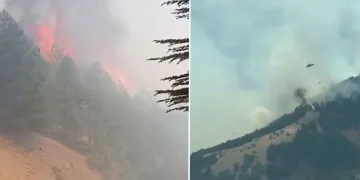 Adıyaman’daki orman yangını kontrol altına alındı