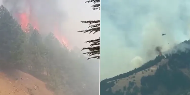 Adıyaman’daki orman yangını kontrol altına alındı