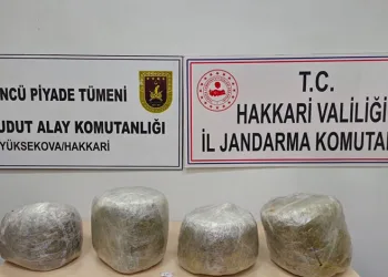 Yüksekova’da 11 kilo skunk ele geçirildi