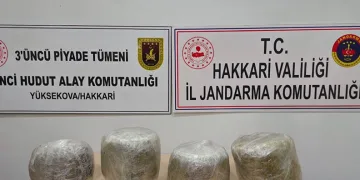 Yüksekova’da 11 kilo skunk ele geçirildi